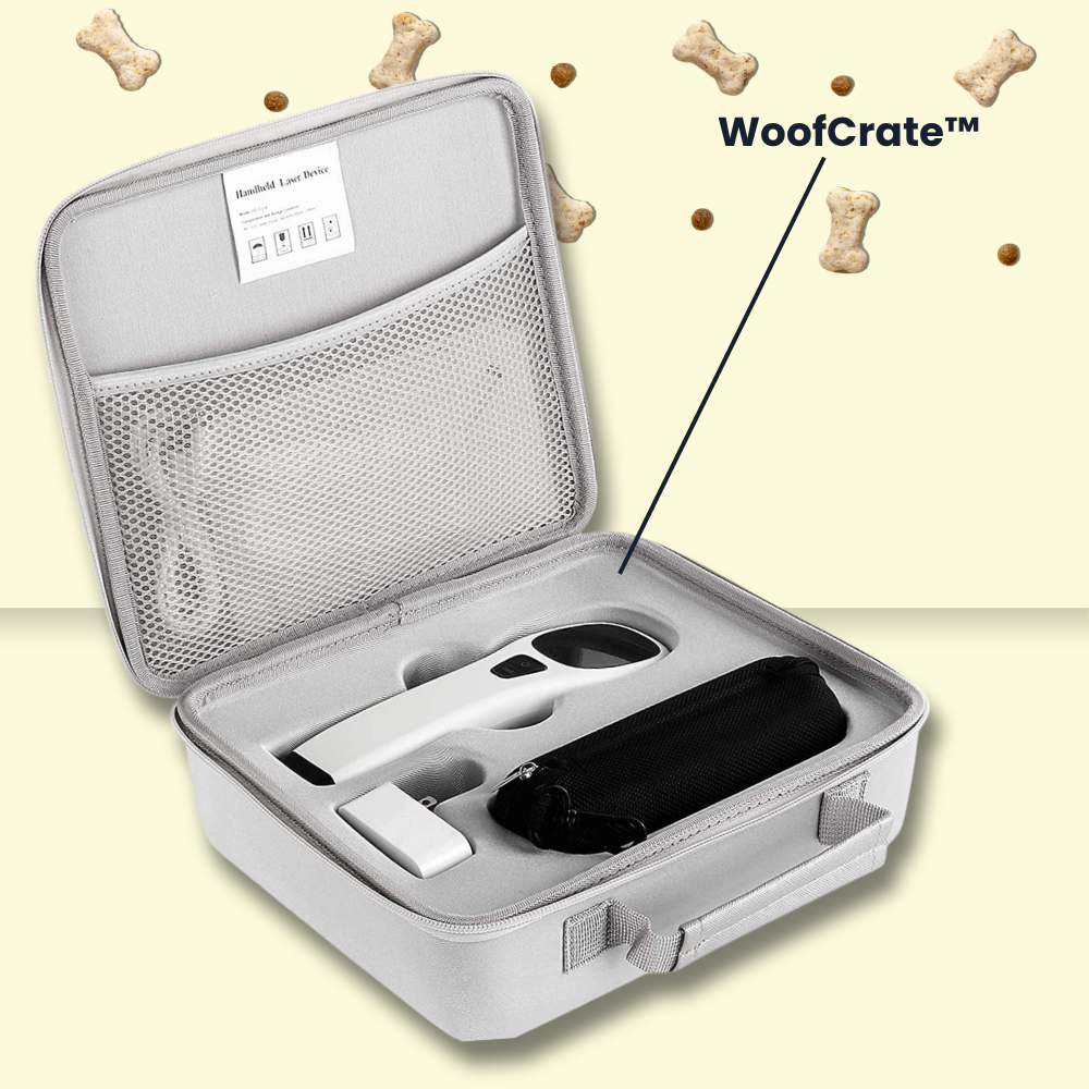 WoofThera™ — Bring Back the Joy Your Pet Deserves